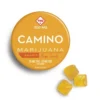 Camino Mango Serenity Gummies