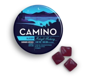 Camino Midnight Blueberry Sleep Gummies