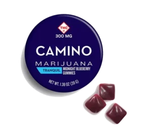 Camino Midnight Blueberry High Dose