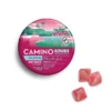Camino Sours Watermelon Spritz Gummies