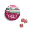 Camino Sours Watermelon Spritz 5mg THC