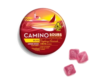 Camino Sours Raspberry Lemonade Bliss