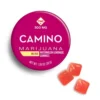 Camino Watermelon Lemonade High Dose