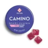 Camino Wild Berry High Dose