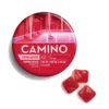 Camino Wild Cherry Exhilarate Gummies